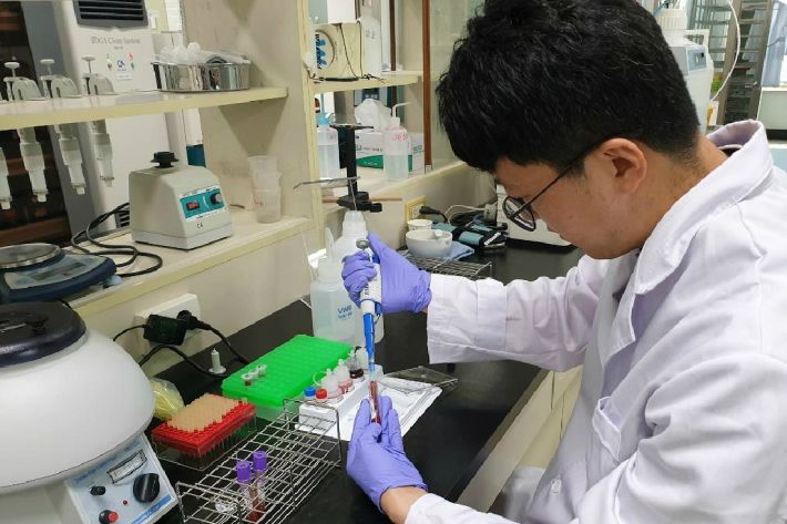 한우 조기임신진단 검사중인 사진