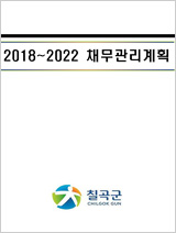 2018~2022 채무관리계획