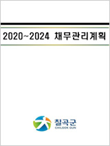 2020~2024 채무관리계획